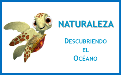 Protegido: NATURALEZA-Descubriendo el Océano